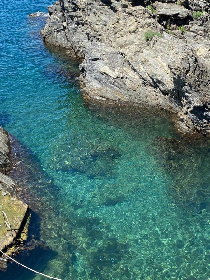 Casa Mafalda Manarola Eksteriør bilde